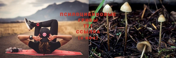 спайс Белоозёрский