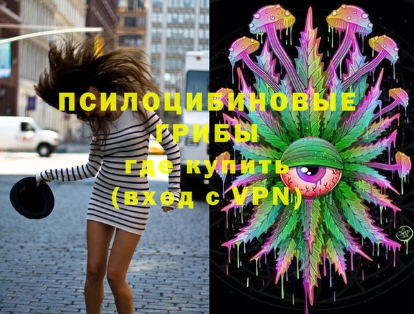 спайс Беломорск
